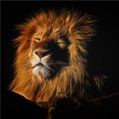 霸气动物图片,动物王国中的王者风采